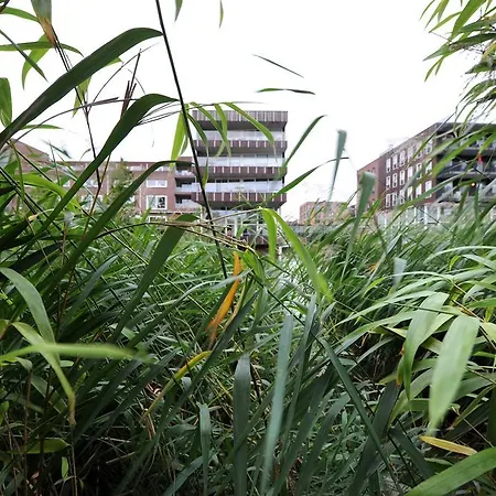 Bed and breakfast Rieteiland