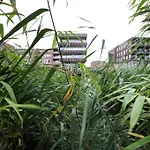 לינה וארוחת בוקר Rieteiland